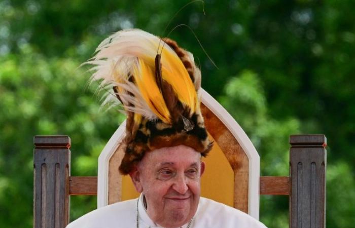 Nella
      giungla
      della
      Papua
      Nuova
      Guinea,
      il
      papa
      “dalla
      fine
      del
      mondo”
      –
      Il
      mio
      blog