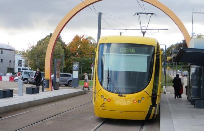 Muore
      l'autista
      dopo
      aver
      colpito
      il
      tram
      dopo
      essersi
      rifiutato
      di
      obbedire
      –
      Il
      mio
      blog