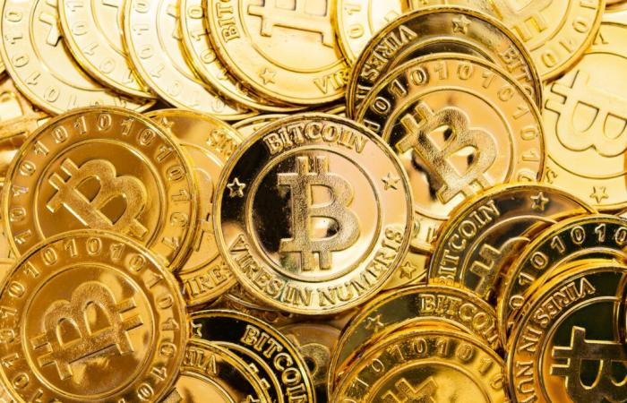 Dove
      sarà
      Bitcoin
      tra
      10
      anni?
      –
      Il
      mio
      blog