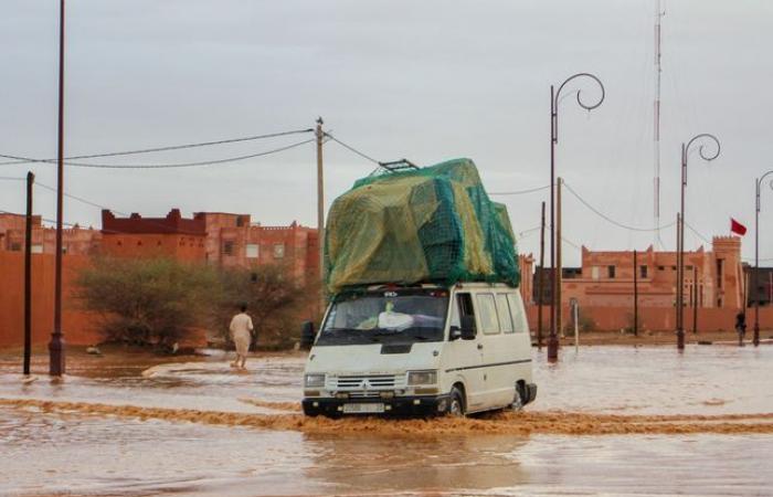 Almeno
      11
      morti
      dopo
      le
      forti
      inondazioni
      nel
      sud
      –
      Il
      mio
      blog