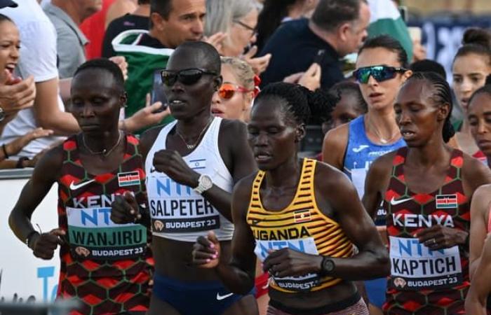 Muore
      per
      ustioni
      il
      compagno
      e
      assassino
      dell'atleta
      Rebecca
      Cheptegei