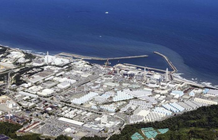 Inizia
      il
      tentativo
      di
      rimozione
      dei
      detriti
      radioattivi
      dalla
      centrale
      di
      Fukushima
      –
      Il
      mio
      blog