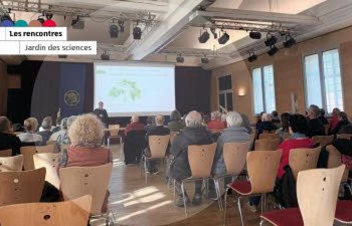 Storia
      materiale
      del
      libro
      in
      Giappone:
      Conferenza
      di
      Selestat