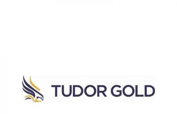 Tudor
      Gold
      estende
      i
      warrant
      –
      Il
      mio
      blog