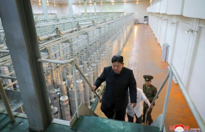 La
      Corea
      del
      Nord
      pubblica
      le
      prime
      immagini
      dell'impianto
      di
      uranio
      arricchito
      –
      Il
      mio
      blog