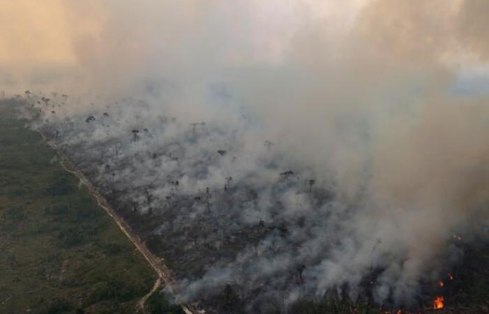 Siccità
      storica
      e
      incendi
      record
      in
      Brasile