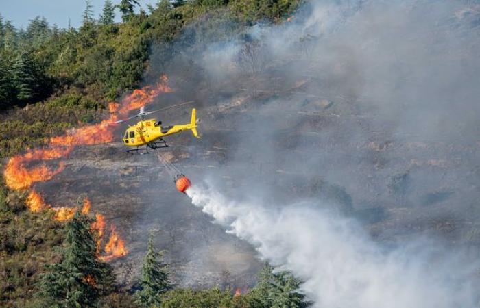 400
      ettari
      coperti
      e
      cinque
      pompieri
      feriti
      –
      Il
      mio
      blog