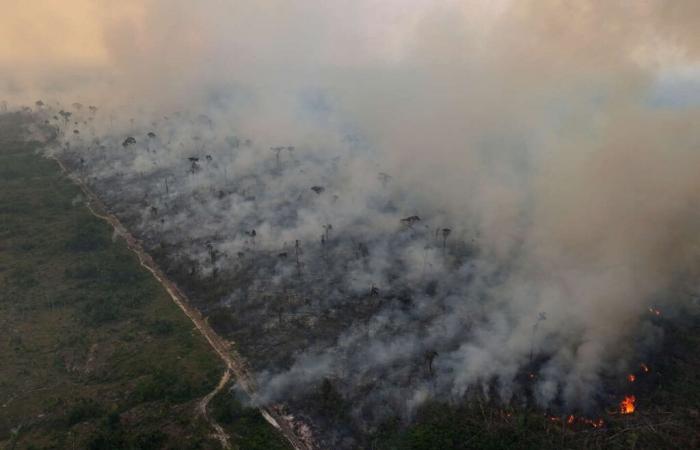 Siccità
      storica
      e
      incendi
      record
      in
      Brasile