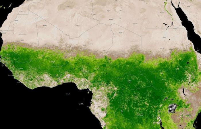 Il
      deserto
      del
      Sahara
      sta
      diventando
      verde
      mentre
      tempeste
      insolite
      colpiscono
      alcune
      parti
      dell'Africa