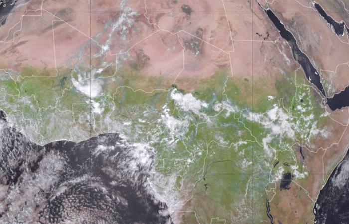 Il
      deserto
      del
      Sahara
      sta
      diventando
      verde
      mentre
      tempeste
      insolite
      colpiscono
      alcune
      parti
      dell'Africa