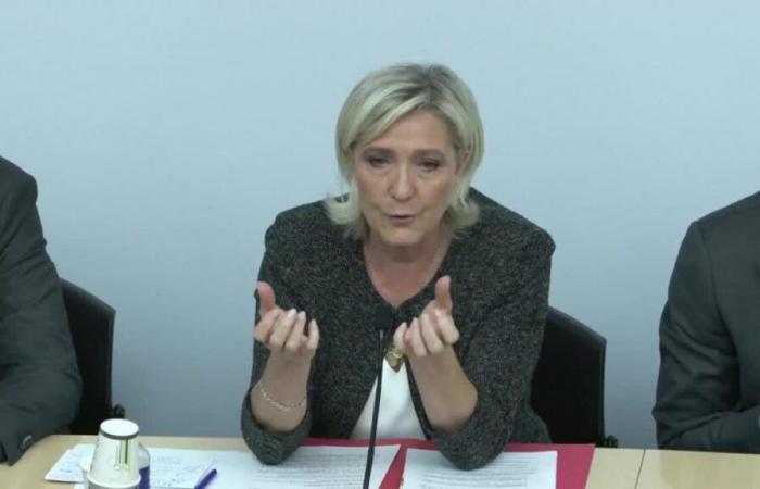 Per
      il
      suo
      ritorno
      parlamentare,
      Marine
      Le
      Pen
      chiede
      un
      nuovo
      scioglimento
      –
      Il
      mio
      blog