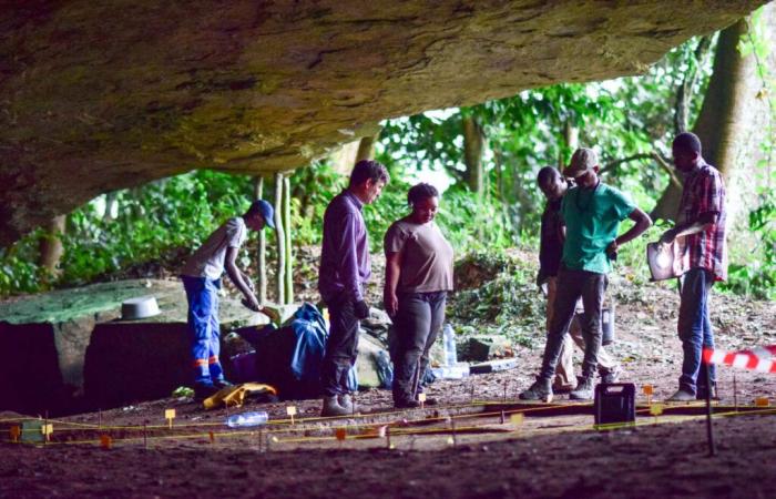 In
      Gabon,
      alla
      scoperta
      della
      storia
      comune
      degli
      uomini
      e
      della
      foresta