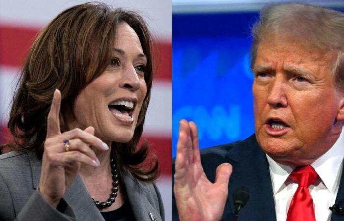 Papa
      Francesco
      afferma
      che
      Kamala
      Harris
      e
      Donald
      Trump
      sono
      entrambi
      “anti-vita”