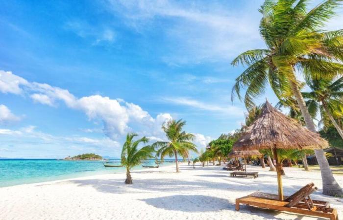 Questa
      spiaggia
      francese
      ha
      una
      delle
      sabbie
      più
      bianche
      del
      mondo