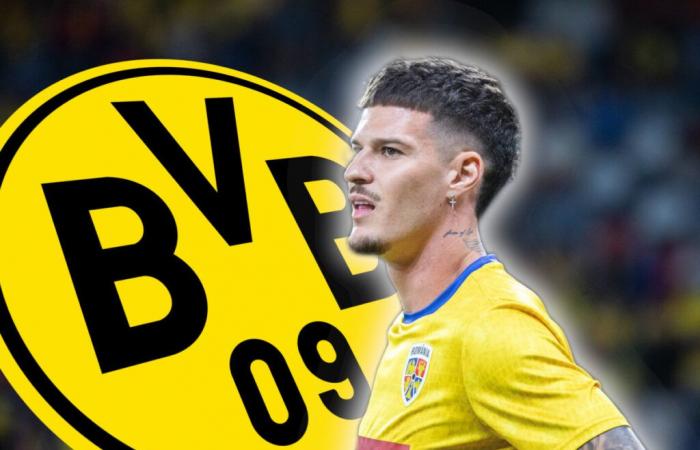 La
      stella
      EM
      brilla
      –
      il
      BVB
      osserva
      da
      vicino