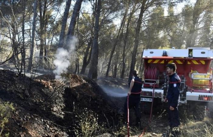 diversi
      incendi
      segnalati
      nei
      Pirenei
      Orientali
      questo
      sabato
      –
      Il
      mio
      blog