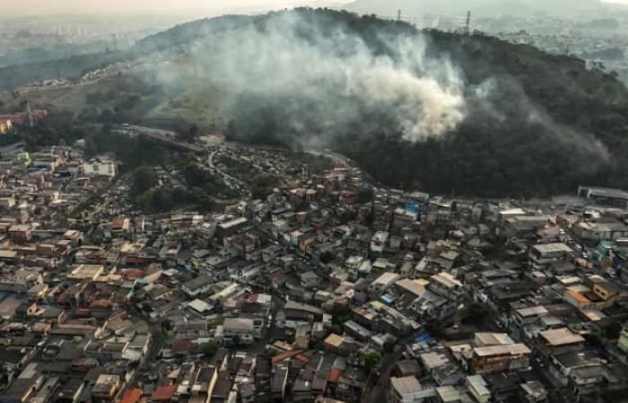 Il
      Brasile
      ancora
      devastato
      dagli
      incendi,
      minacciate
      le
      città
      di
      Rio
      e
      San
      Paolo
      –
      Il
      mio
      blog