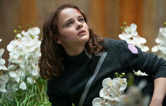 Cast,
      Finale,
      Trailer
      dell'adattamento
      del
      libro
      di
      Joey
      King