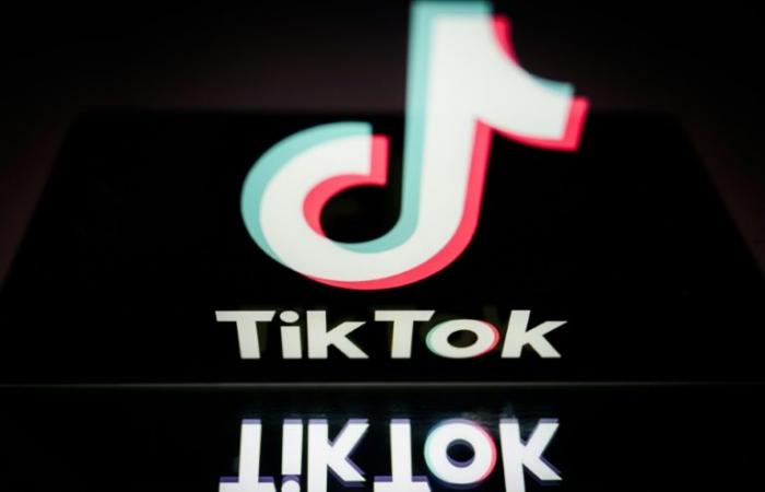 Il
      futuro
      di
      TikTok
      in
      sospeso
      in
      tribunale
      negli
      Stati
      Uniti
      –
      Il
      mio
      blog