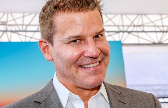 David
      Boreanaz
      è
      pronto
      per
      un
      sequel?
      Ci
      risponde