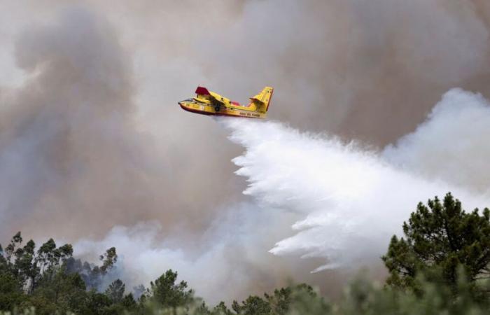 Il
      Portogallo
      chiede
      aiuto
      all’Europa
      per
      fronteggiare
      i
      molteplici
      incendi
      –
      16/09/2024
      alle
      15:14
      –
      .