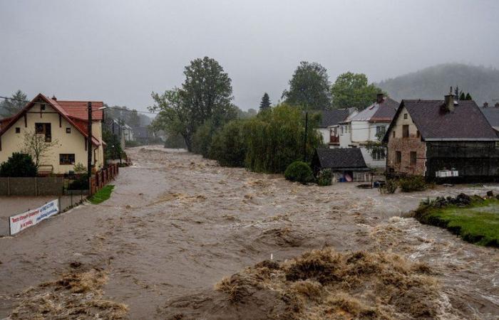 L'uomo
      “urlò
      e
      scomparve
      sotto
      la
      superficie”,
      travolto
      dalle
      acque
      dell'alluvione
      mentre
      cercava
      di
      aiutare
      i
      vicini
      –
      .