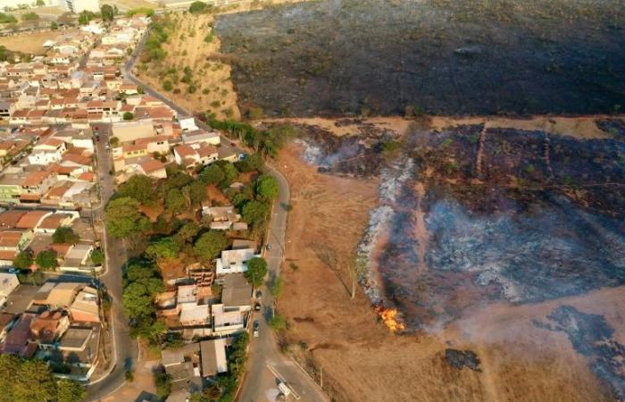 In
      Brasile
      siccità
      e
      incendi
      eccezionali
      preoccupano
      il
      settore
      agricolo
      –
      Il
      mio
      blog