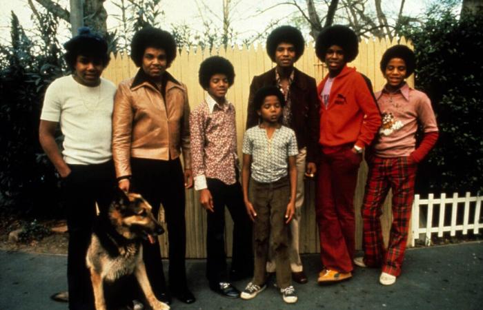 Suo
      fratello
      Tito,
      un
      famoso
      membro
      dei
      Jackson
      Five,
      è
      morto
      durante
      un
      viaggio
      su
      strada