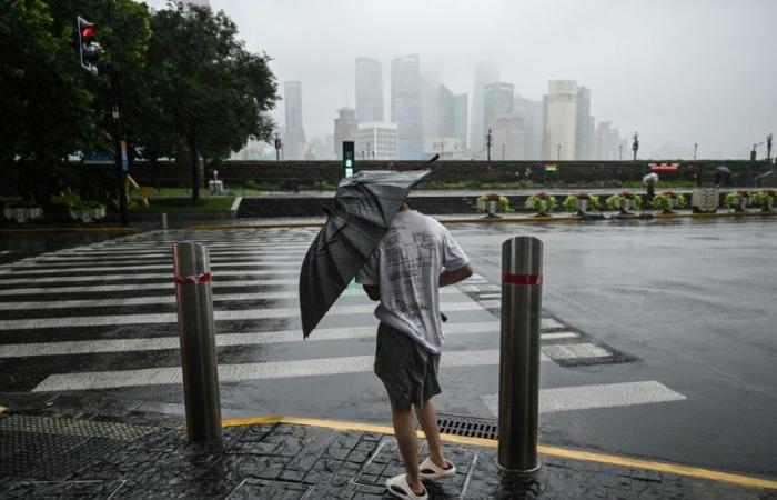 Shanghai
      colpita
      dal
      tifone
      più
      forte
      degli
      ultimi
      75
      anni
      –
      Il
      mio
      blog