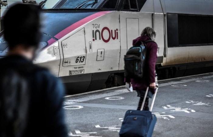 Cosa
      puoi
      fare
      ora
      per
      evitare
      le
      nuove
      multe
      SNCF