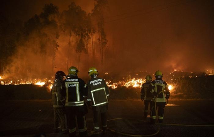 Circa quaranta incendi boschivi stanno ancora devastando il Portogallo settentrionale e centrale