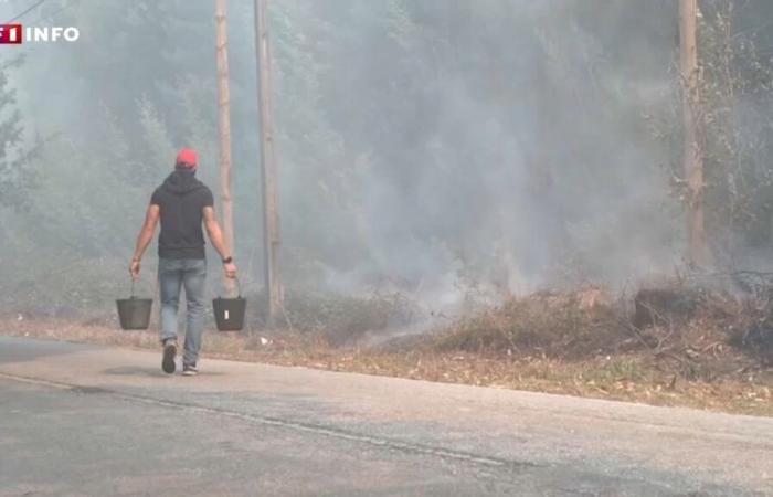 I residenti del Portogallo affrontano incendi devastanti con armi misere