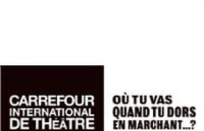 Direttore Marketing e Partnership | Carrefour International de Théâtre