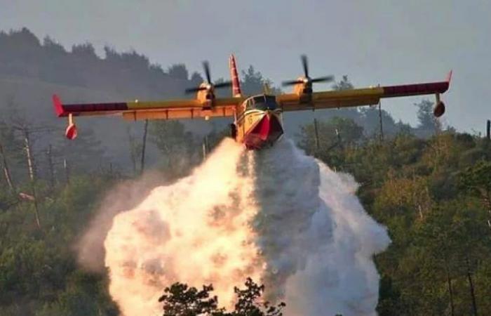 Il Marocco invia quattro Canadair in Portogallo, che è nella morsa di incendi boschivi mortali