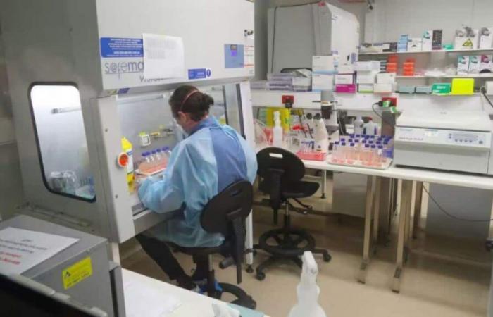 La lunga ricerca australiana sul COVID dà speranza per nuovi vaccini e trattamenti