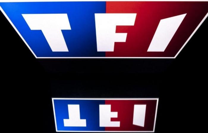 perché presto potrai guardare i contenuti Arte sulle piattaforme TF1 e France Télévisions