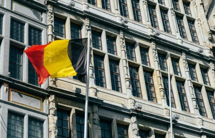 Il Belgio autorizza i pannelli solari ricaricabili e l’accumulo di batterie – pv magazine Francia