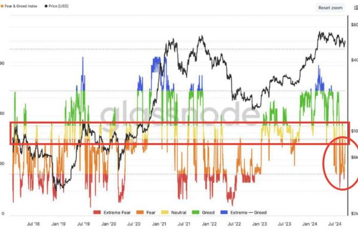 Gli indicatori on-chain sono di nuovo favorevoli? – The Market Check