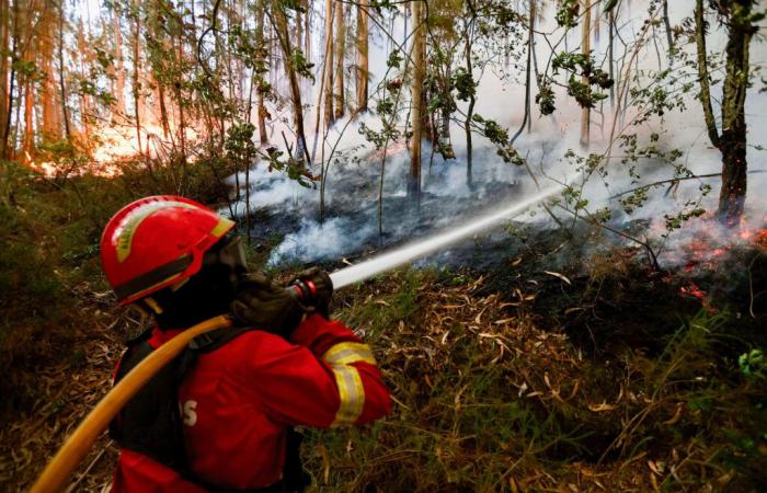 Almeno sette morti nei peggiori incendi dell’estate