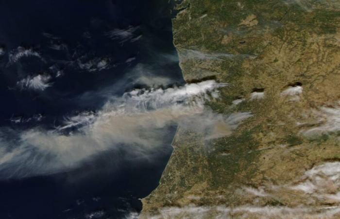 Immagini satellitari impressionanti degli incendi boschivi dallo spazio