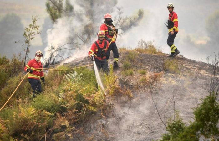 Il fumo raggiungerà Francia e Spagna, spiega Copernico