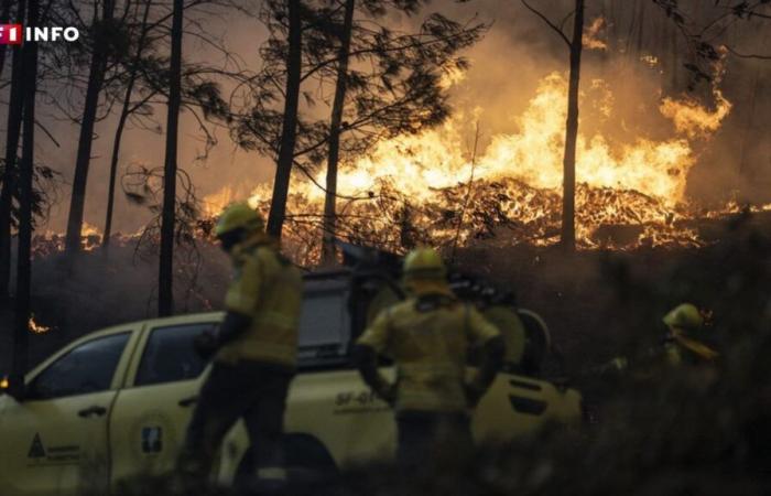 Nei prossimi giorni il fumo aleggia su parte della Francia