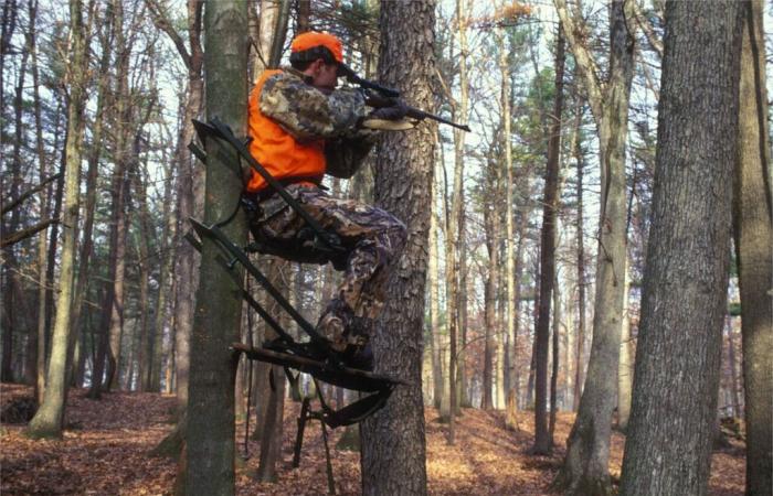 La stagione di caccia inizia un mese prima nella foresta di Sénart