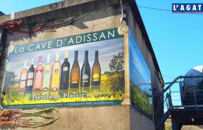 Agglo Hérault Méditerranée – Adissan, terra di tradizioni e vigneti eccezionali