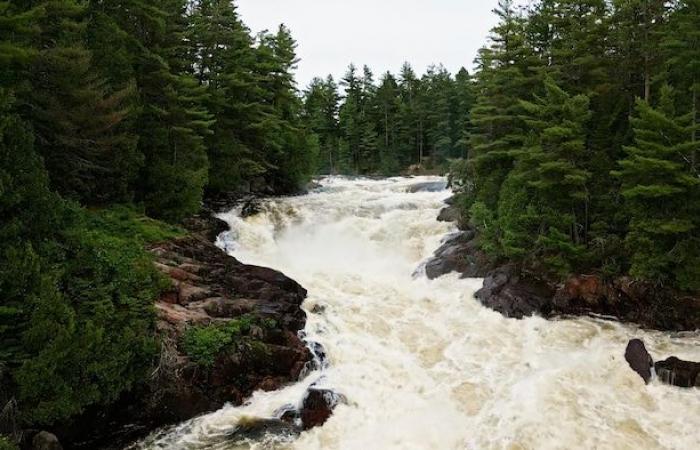 Sfruttare o proteggere il fiume Kipawa?