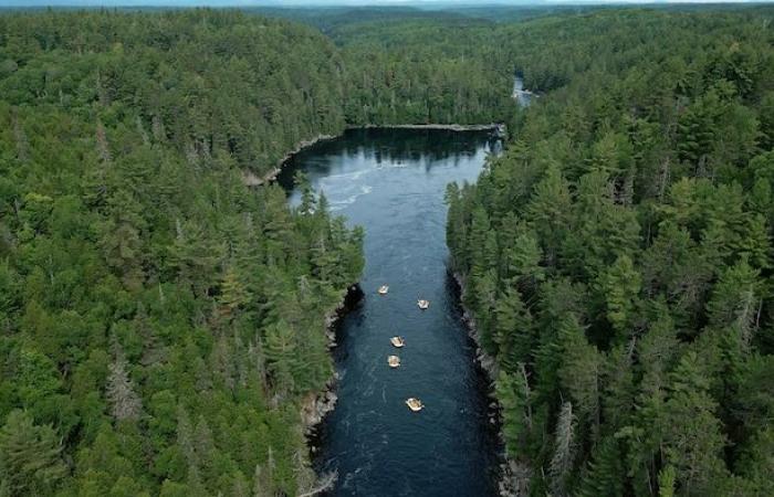 Sfruttare o proteggere il fiume Kipawa?