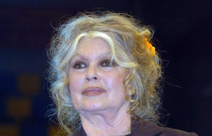 Brigitte Bardot molto amareggiata verso la famiglia di Alain Delon, “questo ultimo anno è stato deplorevole”