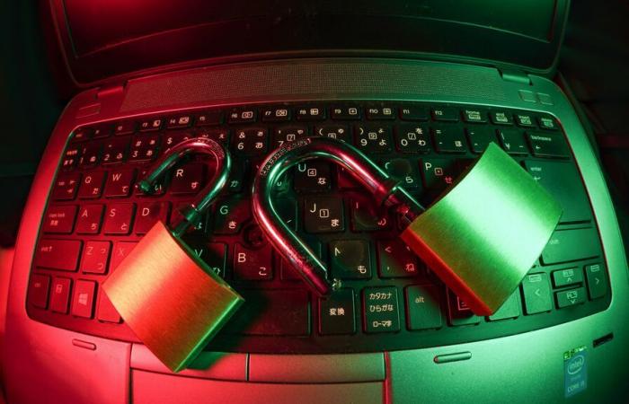 IBAN rubato a SFR, smantellamento di una botnet cinese… Le 5 notizie della settimana sulla sicurezza informatica