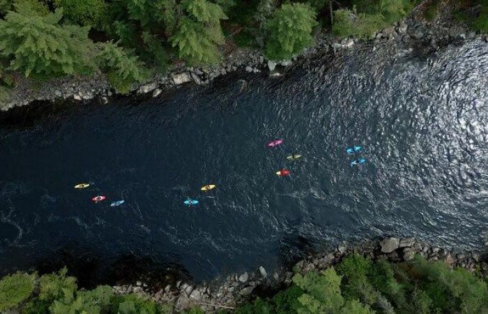 Sfruttare o proteggere il fiume Kipawa?