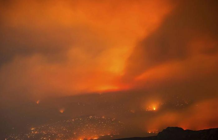 Oltre 9.000 ettari bruciati dagli incendi boschivi